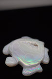 Quartz Druzy Rainbow Coated Titanium Turtle