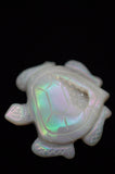 Quartz Druzy Rainbow Coated Titanium Turtle