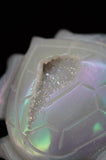 Quartz Druzy Rainbow Coated Titanium Turtle