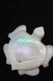 Quartz Druzy Rainbow Coated Titanium Turtle
