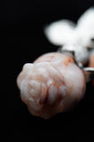 Peach Calcite Double Rose Flower Crystal Carving
