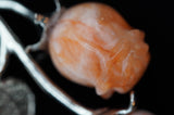 Peach Calcite Double Rose Flower Crystal Carving