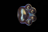 Animal Dog and Cat Paw Print Crystal Carvings