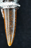 Dragon Crystal Claw Point Necklace