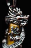 Dragon Crystal Claw Point Necklace