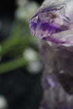 Amethyst Crystal Cluster Lamps (several options)