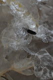 Smoky Quartz Crystal Lamps (several options)