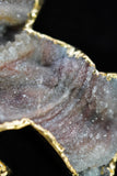 Dolphin Crystal Agate Druzy Necklace