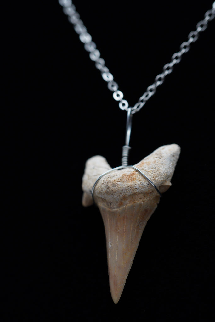 Shark Tooth Pendant Necklace – You Are The Guru Gift Shop
