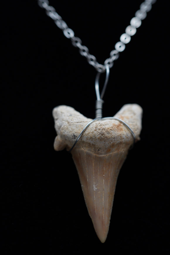 Shark Tooth Pendant Necklace