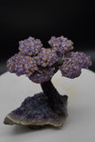 Ametrine Amethyst Geode Crystal Tree of Life Sculpture