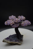 Ametrine Amethyst Geode Crystal Tree of Life Sculpture