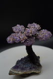 Ametrine Amethyst Geode Crystal Tree of Life Sculpture