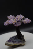 Ametrine Amethyst Geode Crystal Tree of Life Sculpture