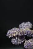 Ametrine Amethyst Geode Crystal Tree of Life Sculpture