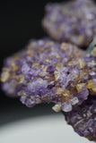 Ametrine Amethyst Geode Crystal Tree of Life Sculpture