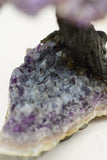 Ametrine Amethyst Geode Crystal Tree of Life Sculpture