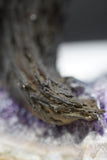 Ametrine Amethyst Geode Crystal Tree of Life Sculpture