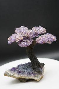 Ametrine Amethyst Geode Crystal Tree of Life Sculpture