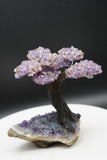Ametrine Amethyst Geode Crystal Tree of Life Sculpture