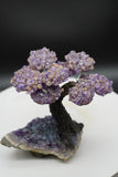 Ametrine Amethyst Geode Crystal Tree of Life Sculpture