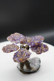 Ametrine Amethyst Geode Crystal Tree of Life Sculpture