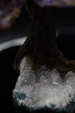 Ametrine Geode Crystal Tree of Life Sculpture