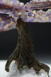 Ametrine Amethyst Geode Crystal Tree of Life Sculpture