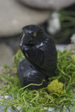 Hand Carved Natural Black ONYX Raven Crow Spirit Animal Totem