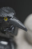 Hand Carved Natural Black ONYX Raven Crow Spirit Animal Totem