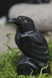 Hand Carved Natural Black ONYX Raven Crow Spirit Animal Totem