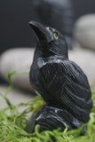 Hand Carved Natural Black ONYX Raven Crow Spirit Animal Totem