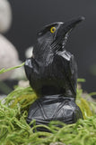 Hand Carved Natural Black ONYX Raven Crow Spirit Animal Totem