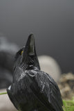 Hand Carved Natural Black ONYX Raven Crow Spirit Animal Totem