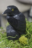Hand Carved Natural Black ONYX Raven Crow Spirit Animal Totem