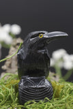 Hand Carved Natural Black ONYX Raven Crow Spirit Animal Totem