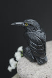 Hand Carved Natural Black ONYX Raven Crow Spirit Animal Totem