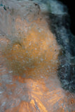 Milky Quartz Cluster and Clear Quartz Crystal Lamps (several options)