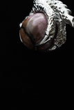 Dragon Claw Crystal Sphere with Rhinestones Necklace (Various Options)