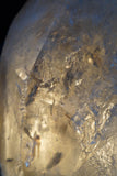 Smoky Quartz Crystal Lamps (several options)